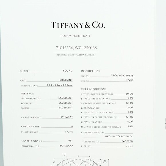 TIFFANY Silver Diamond Necklace - Picture 8 of 8